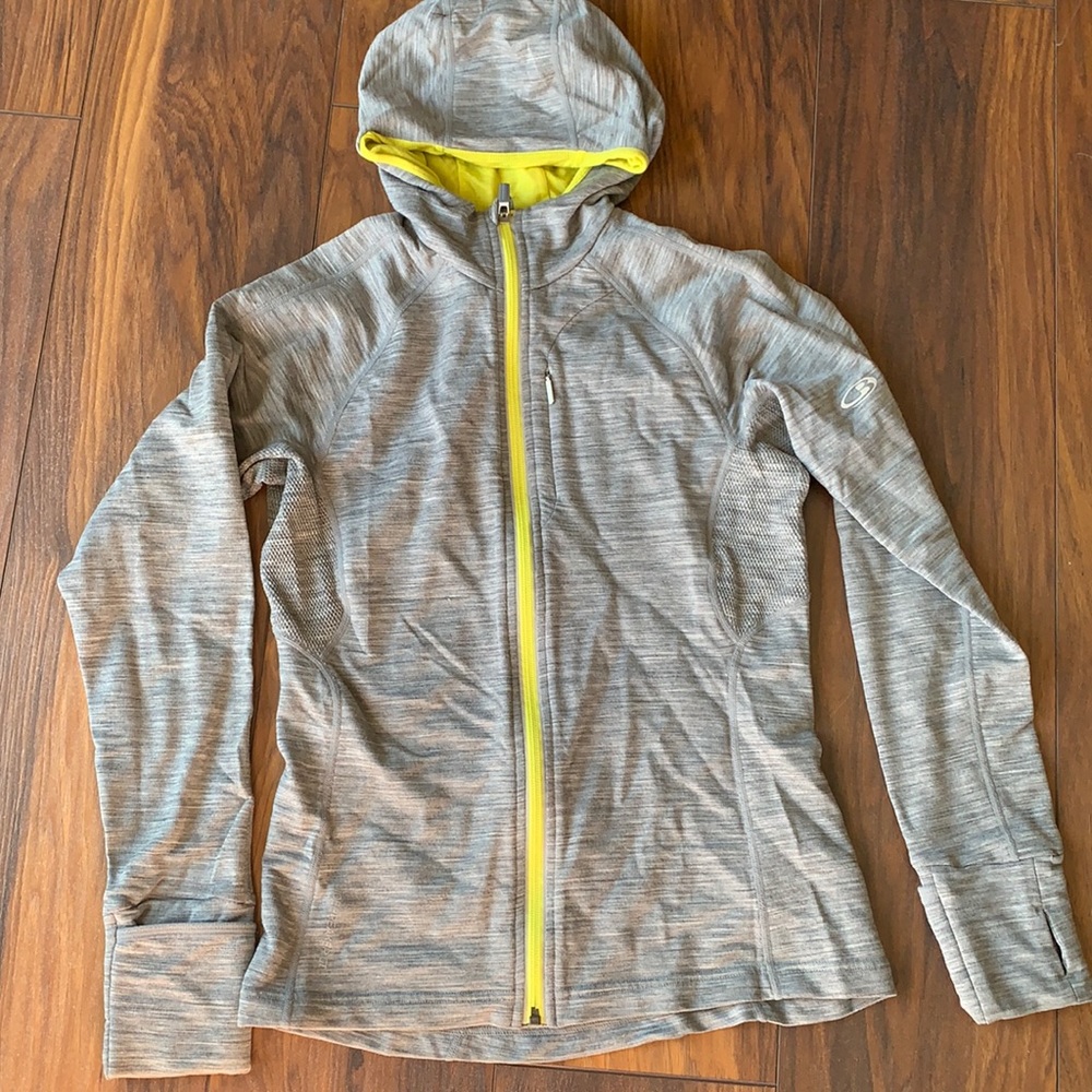 Icebreaker hoodie